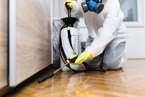 Best Termite Control Services  in Woodridge, IL