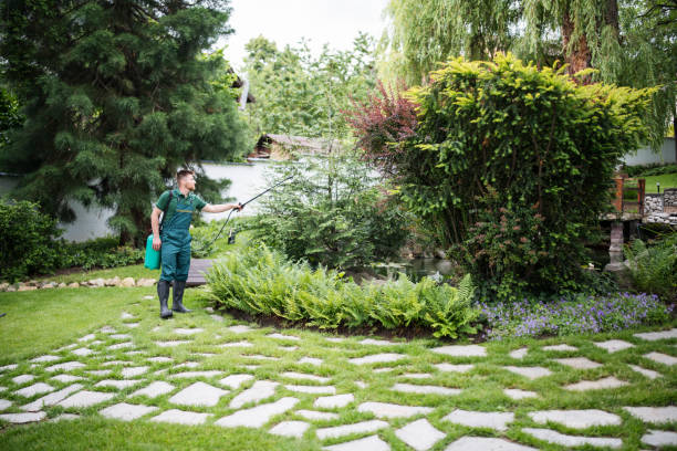 Best Commercial Pest Control Services  in Woodridge, IL
