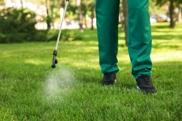 Best Pest Inspection Near Me  in Woodridge, IL