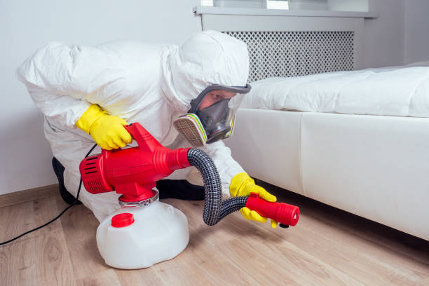 Best Best Pest Control Companies  in Woodridge, IL