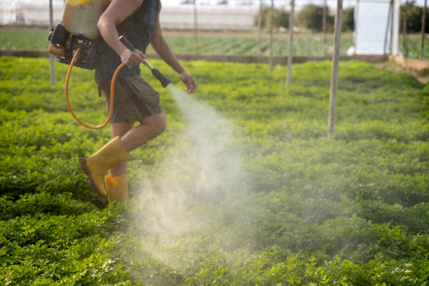 Best Exterminator Services  in Woodridge, IL