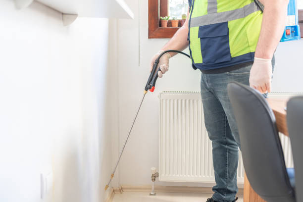 Best Flea Control Services  in Woodridge, IL