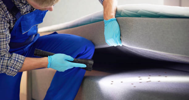 Trusted Woodridge, IL Pest Control Experts