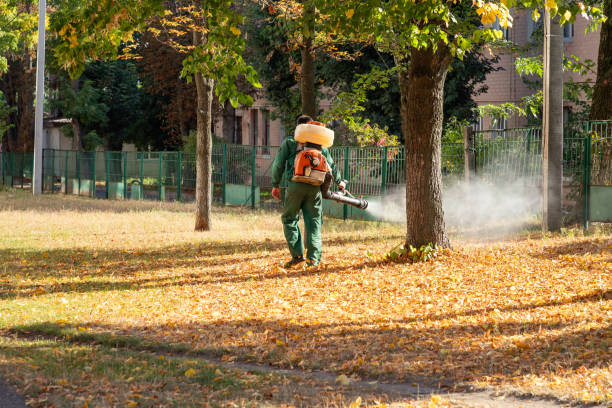 Best Best Pest Control Companies  in Woodridge, IL