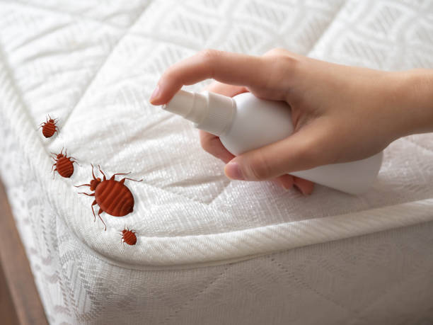 Best Pest Prevention Services  in Woodridge, IL