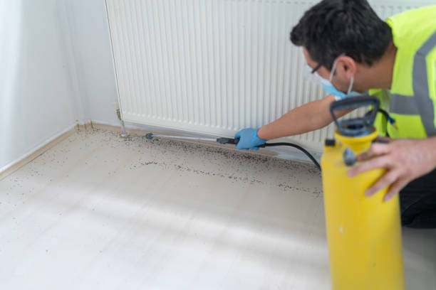 Best Insect Control  in Woodridge, IL