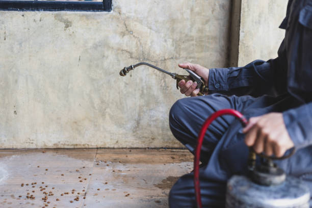 Best Pest Inspection Near Me  in Woodridge, IL