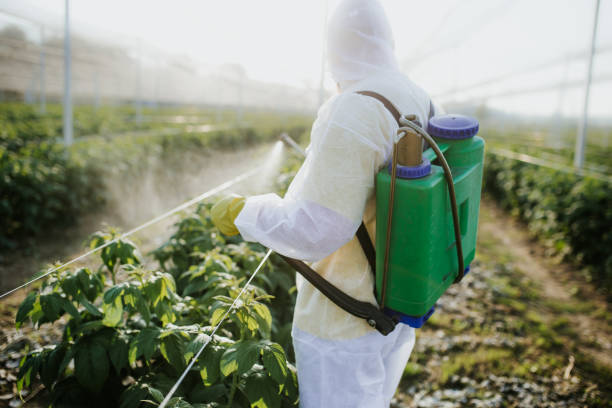 Best Exterminator Services  in Woodridge, IL